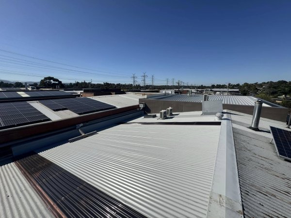 The Plumbking Gutter and Roofing Specialists